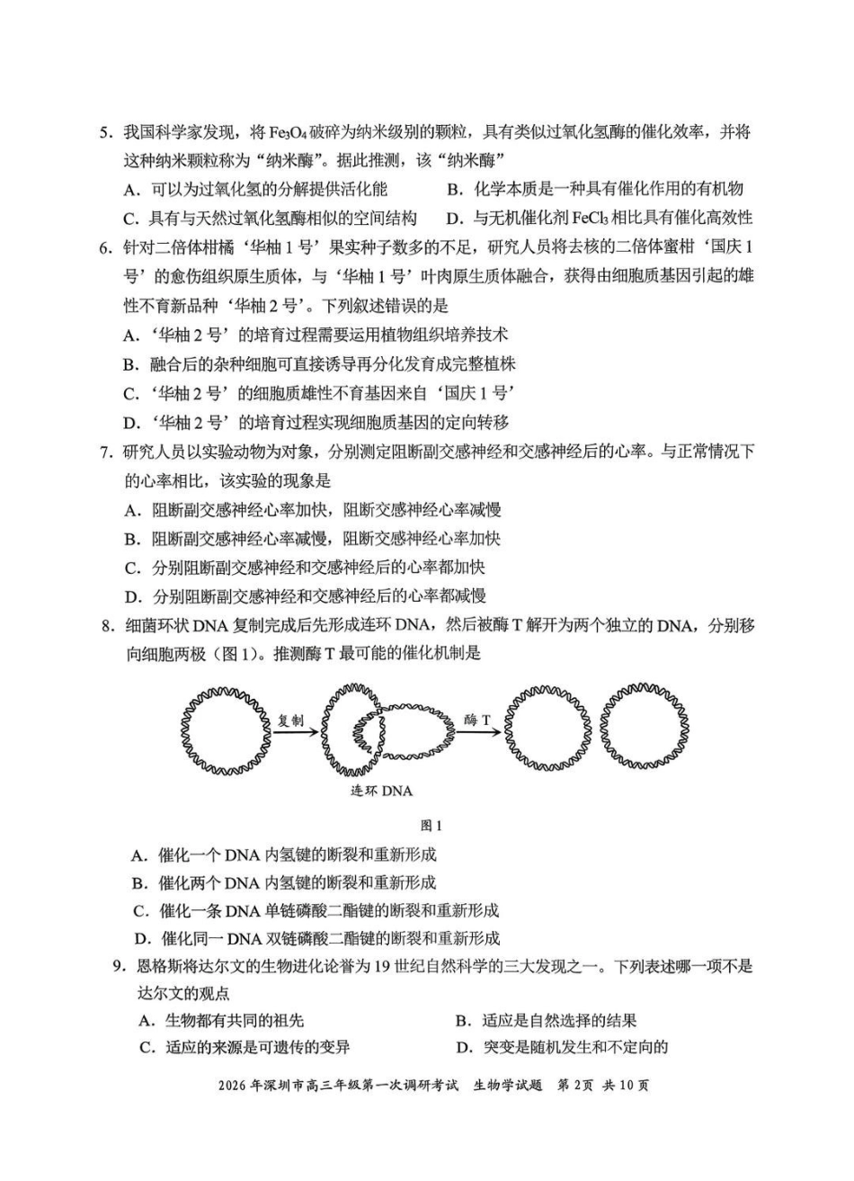 2026年深圳市高三年级第一次调研考试生物.pdf_第2页
