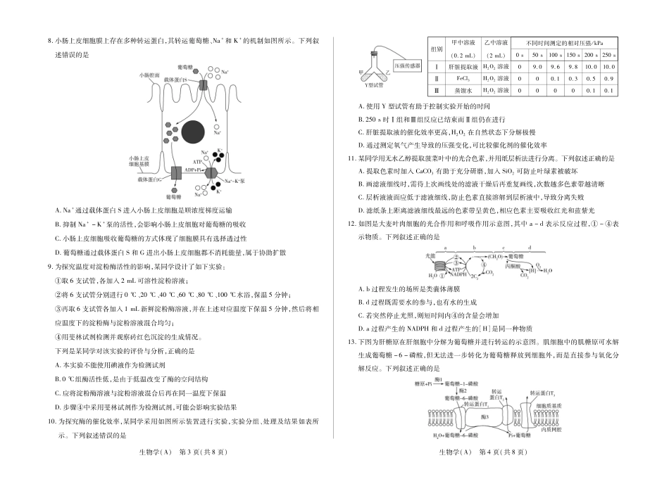 安徽合肥六中等学校2025级高一上学期2月期末考试生物.pdf_第2页
