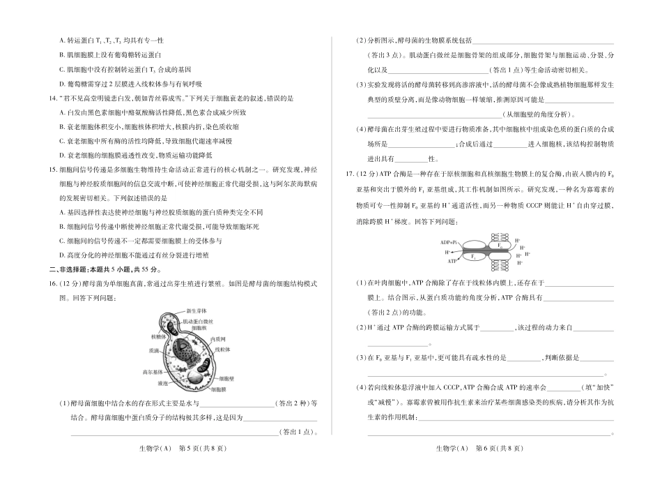 安徽合肥六中等学校2025级高一上学期2月期末考试生物.pdf_第3页