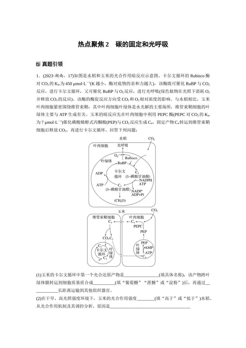 第一部分专题二热点聚焦2碳的固定和光呼吸.docx_第1页