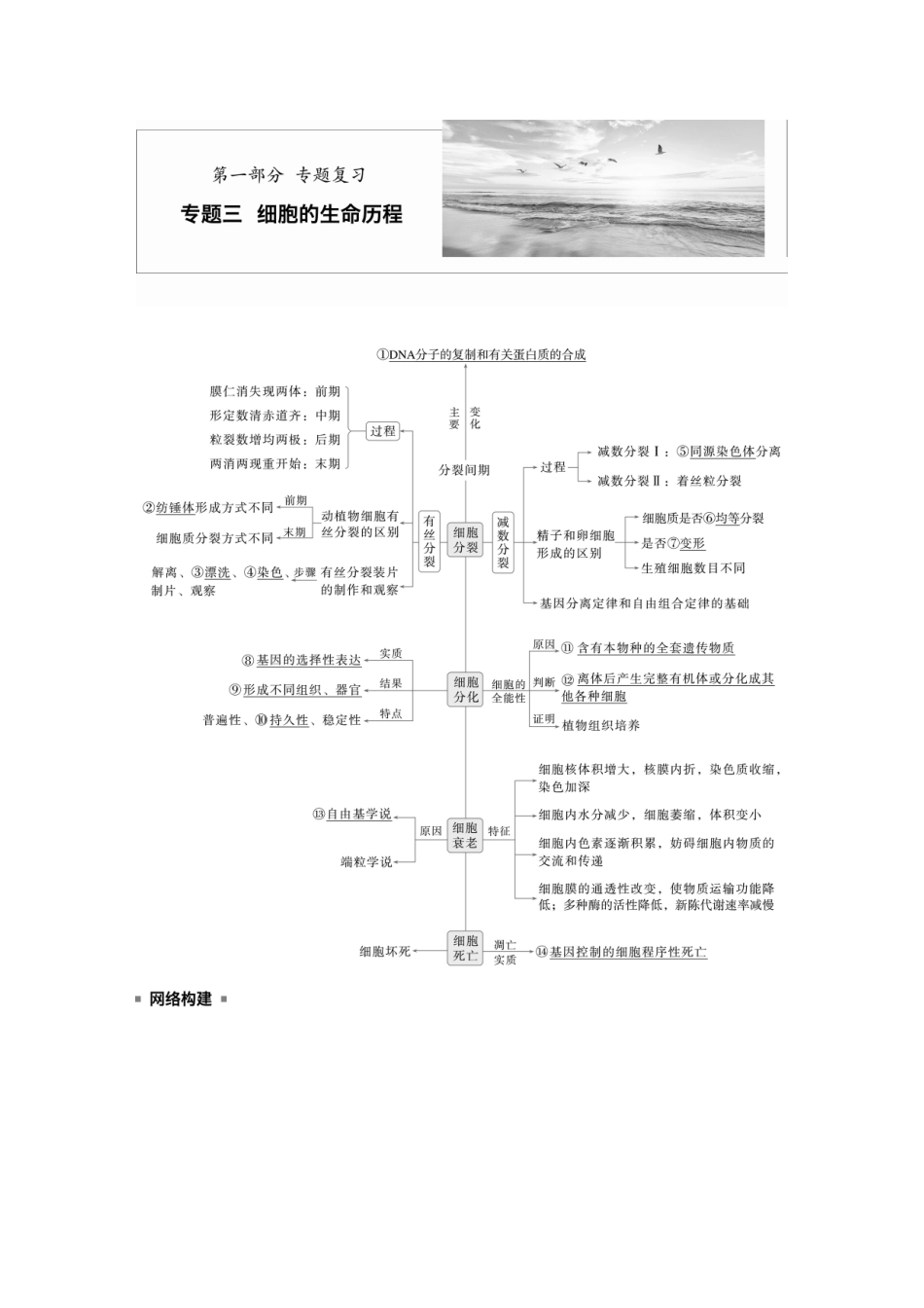 第一部分专题三必备整合细胞的增殖、分化、衰老和死亡.docx_第1页