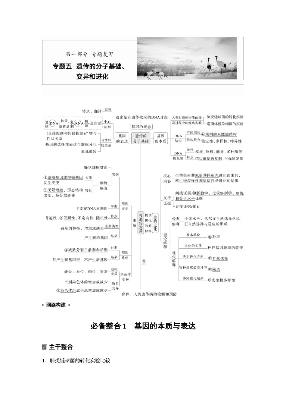 第一部分专题五必备整合1基因的本质与表达.docx_第1页