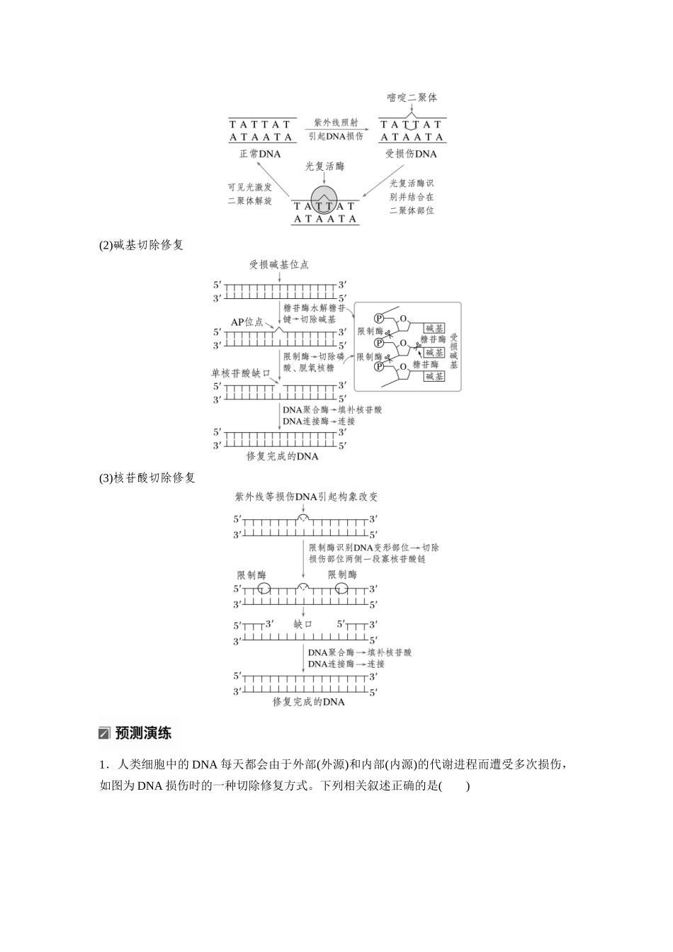 第一部分专题五热点聚焦DNA损伤的修复机制与表观遗传.docx_第2页