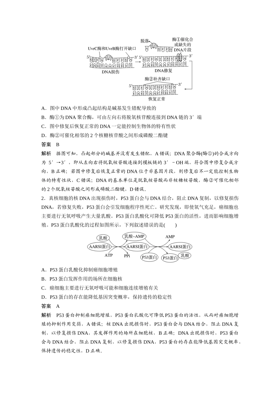 第一部分专题五热点聚焦DNA损伤的修复机制与表观遗传.docx_第3页