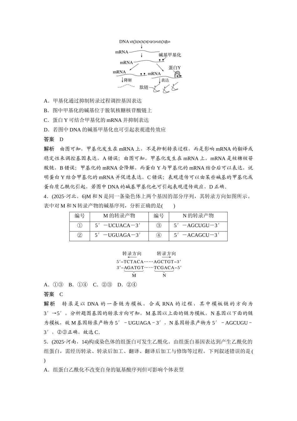 第一部分专题五专题强化练遗传的分子基础.docx_第2页