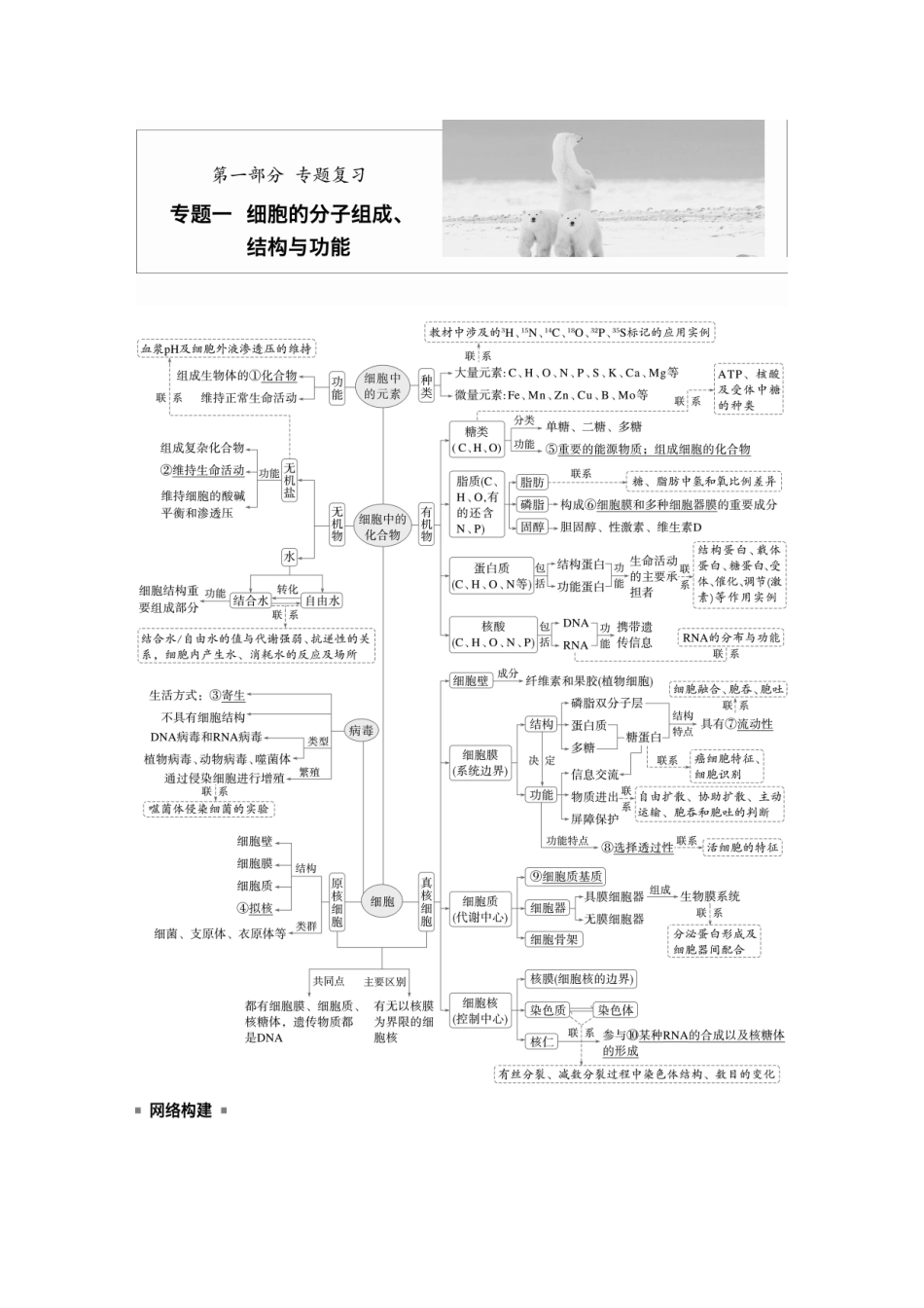 第一部分专题一必备整合细胞的物质组成、结构和物质运输.docx_第1页