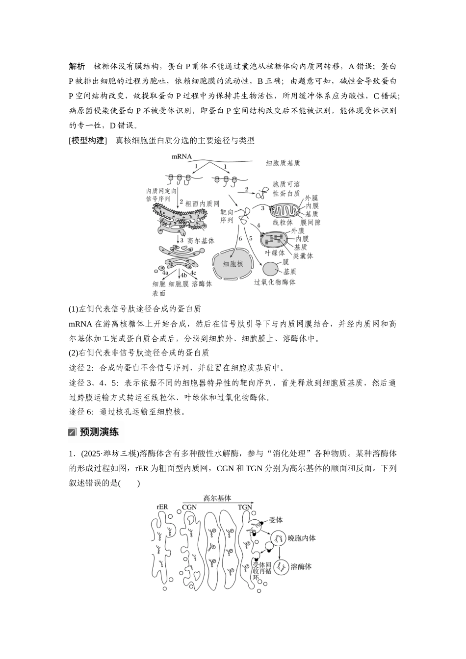 第一部分专题一热点聚焦1蛋白质的分选和信号介导的蛋白质的合成、运输.docx_第3页