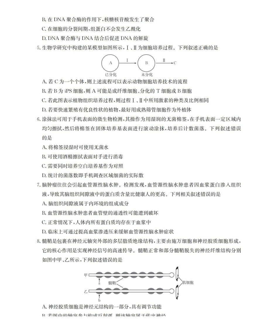 湖南2026届高三上学期1月联考（26-212C）生物.pdf_第2页