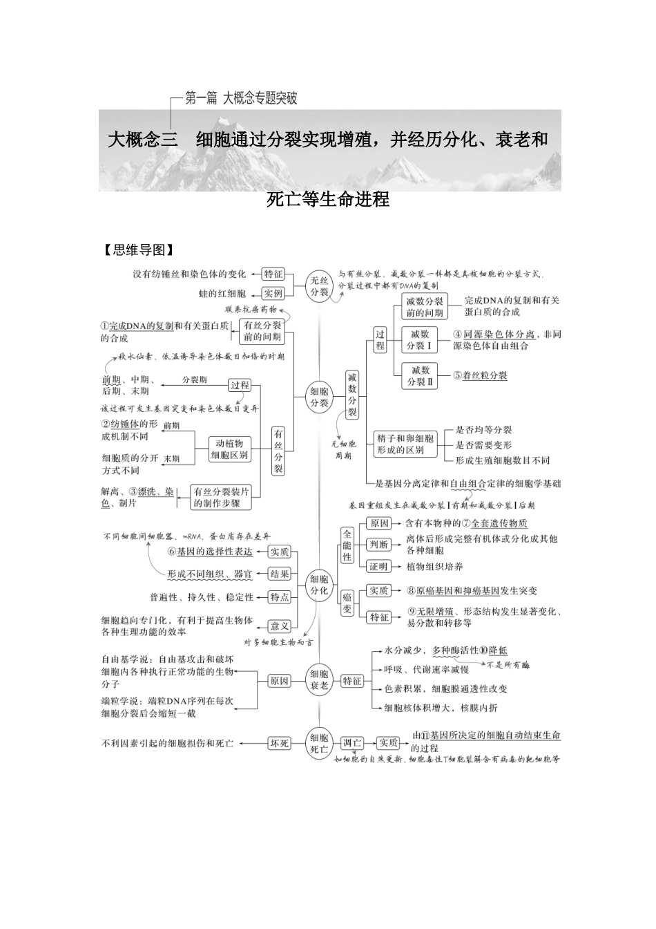 课时1细胞增殖、分化、衰老和死亡等生命进程.doc_第1页