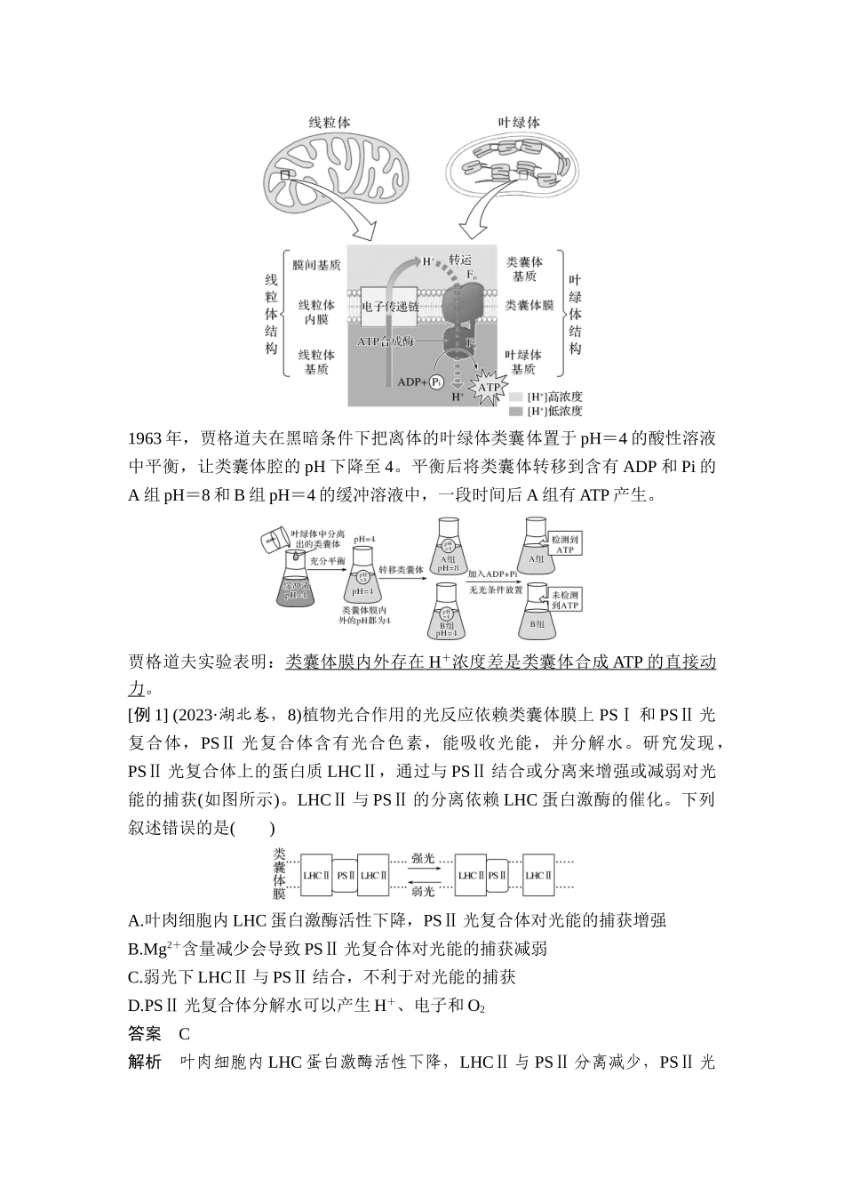 课时3电子传递链及化学渗透假说、C4植物、景天科植物、光呼吸等特殊代谢类型.doc_第3页