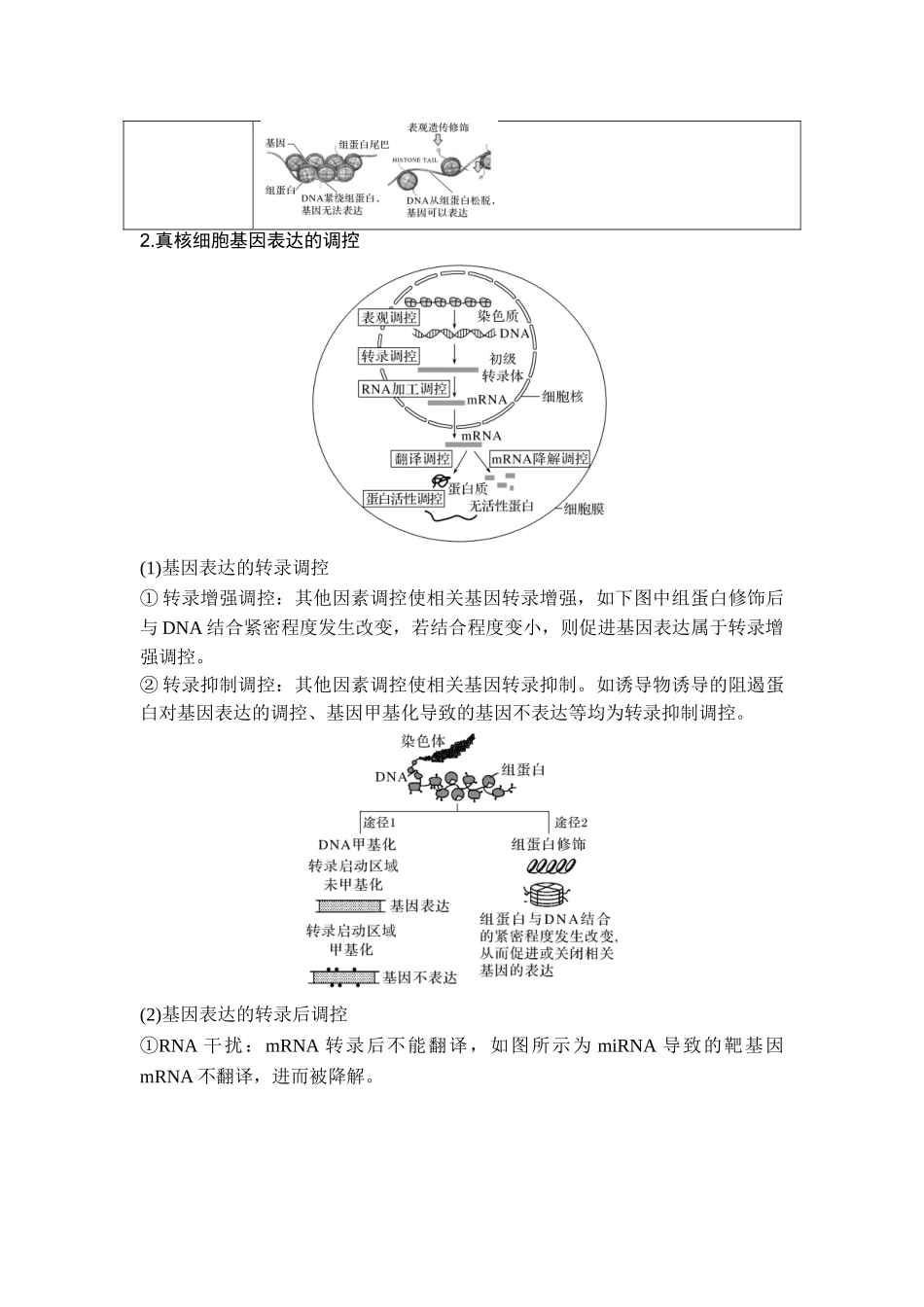 课时3基因表达的调控、基因频率计算、育种.doc_第2页