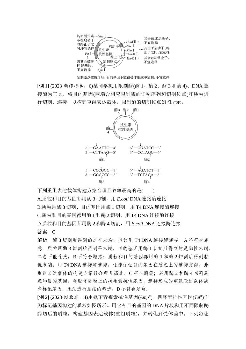 课时4突破基因工程类大题.doc_第2页