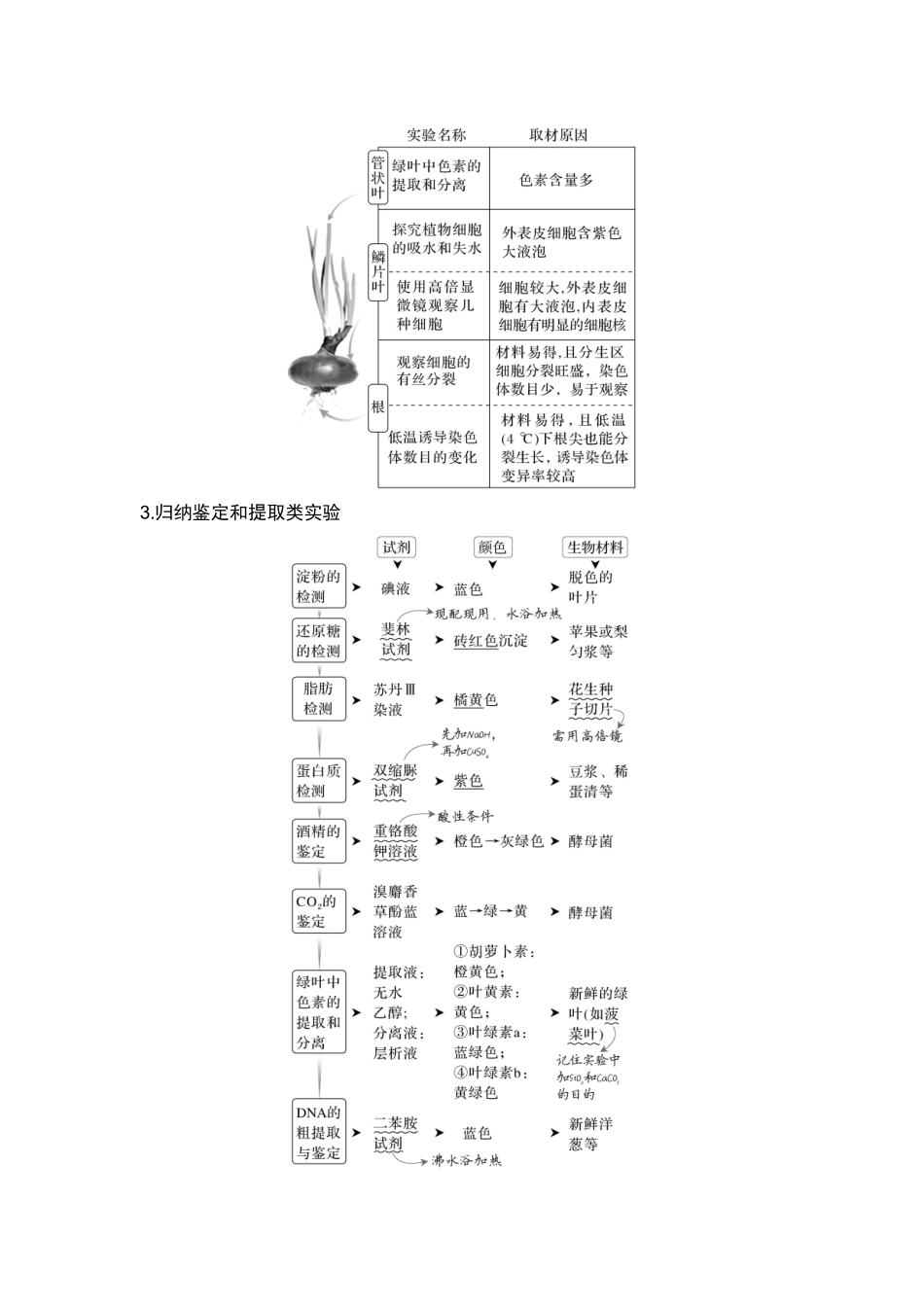 课时把握教材基础实验和经典实验的思路和方法.doc_第3页