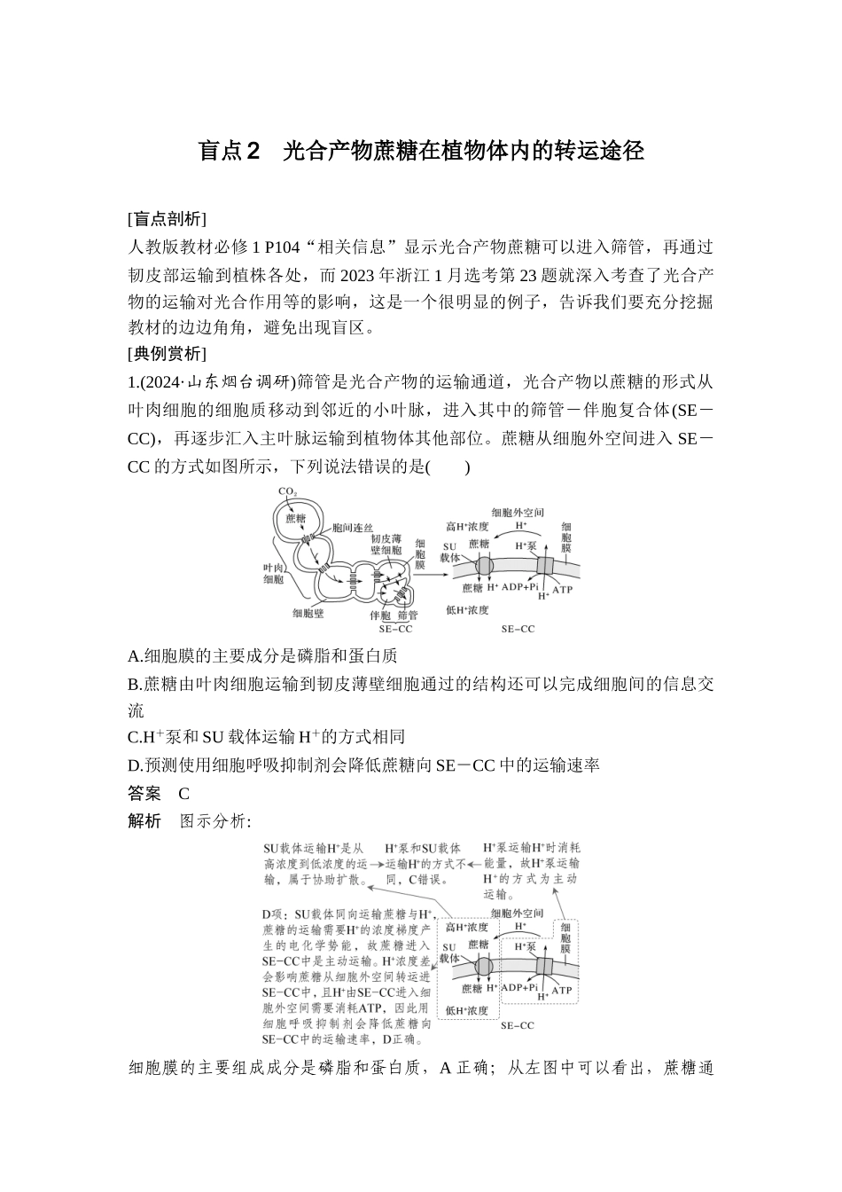 盲点2光合产物蔗糖在植物体内的转运途径.doc_第1页