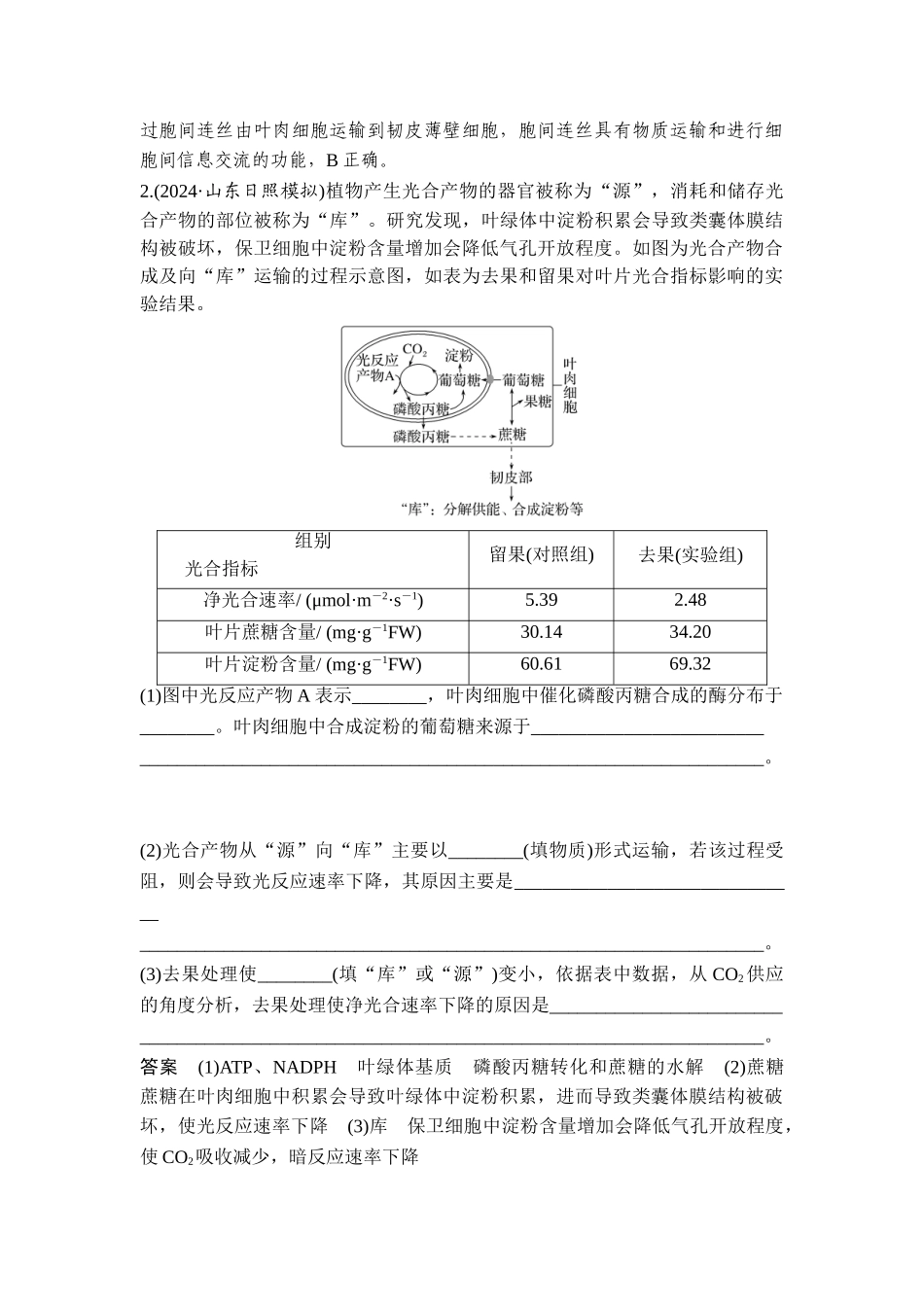盲点2光合产物蔗糖在植物体内的转运途径.doc_第2页