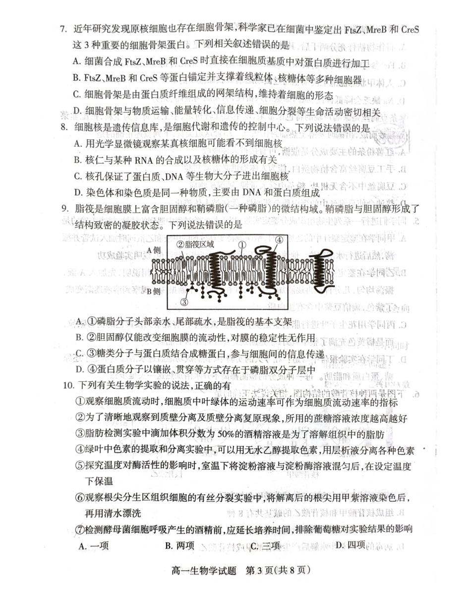 山西阳泉市2025-2026学年度第一学期期末教学质量监测试题高一生物试卷.pdf_第3页