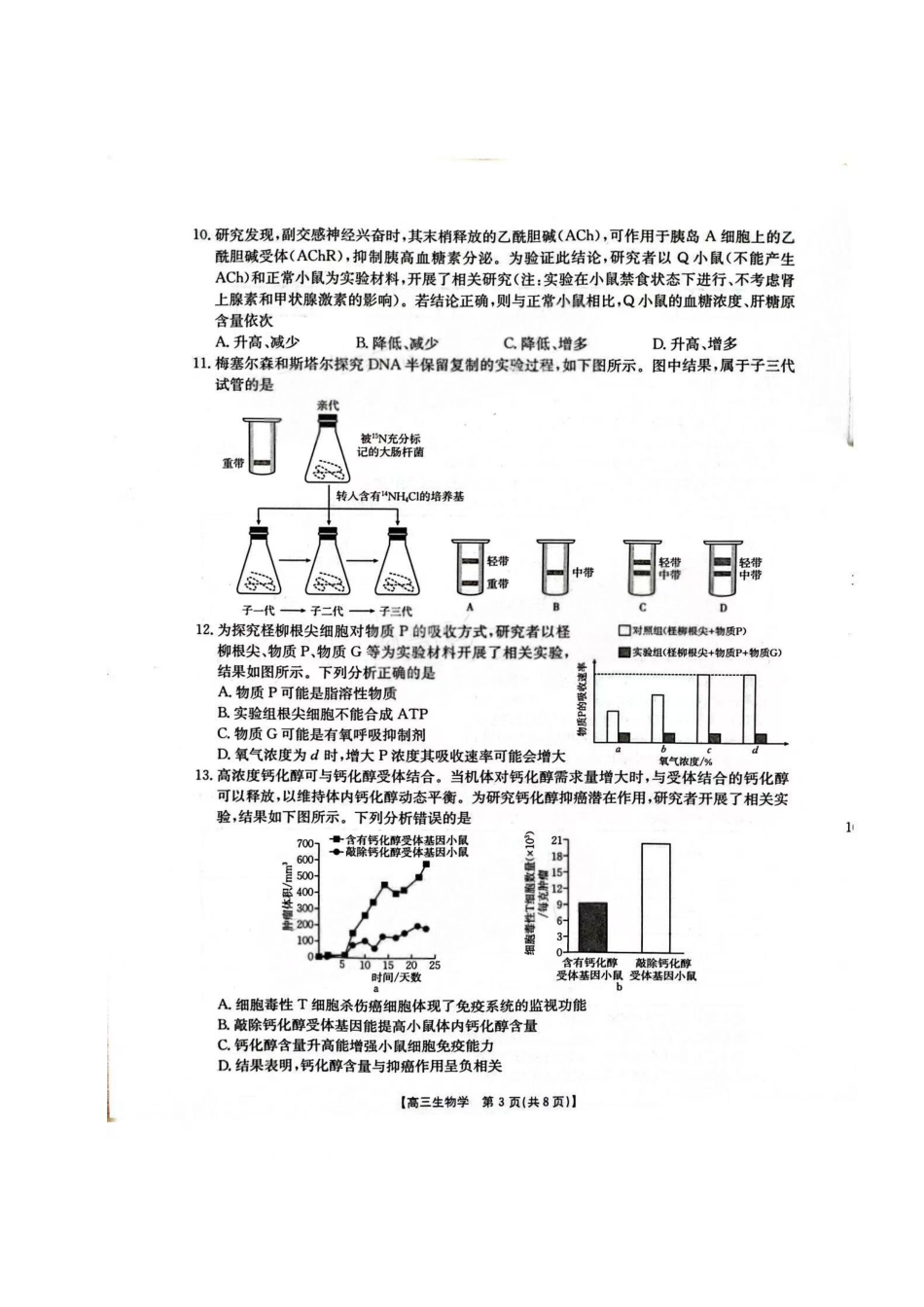 生物(26-254C)广东金太阳百万大联考2025-2026学年高三下学期2月开学考试（26-254C）(2.26-2.27).pdf_第3页