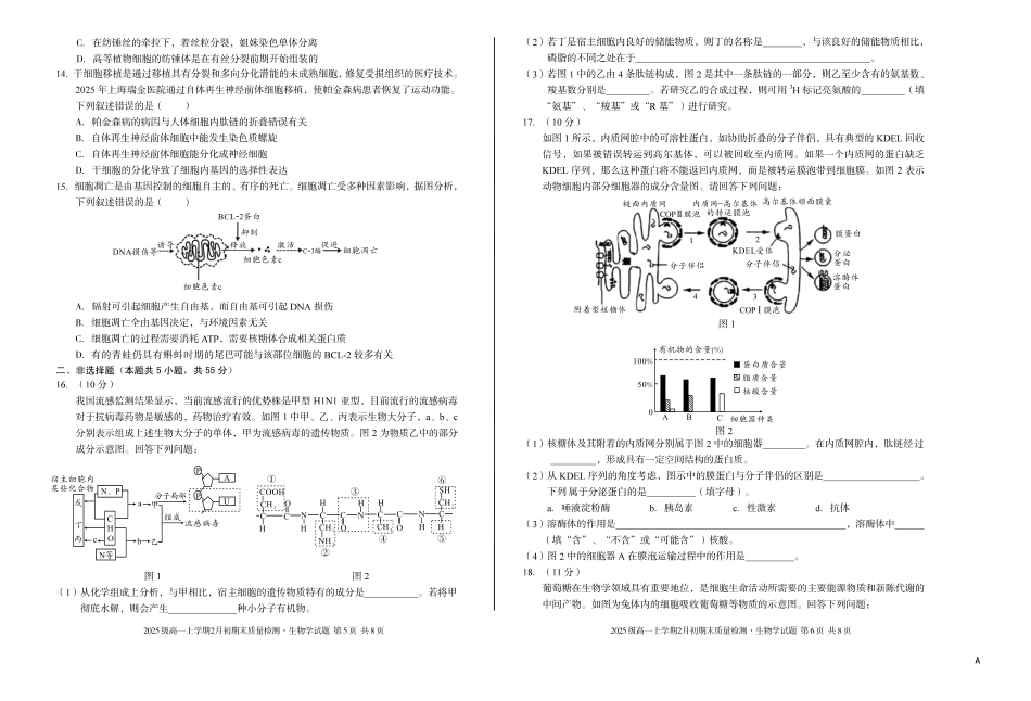 生物(A卷)安徽A10联盟2025级高一上学期2月初期末质量检测（2.3-2.4）.pdf_第3页