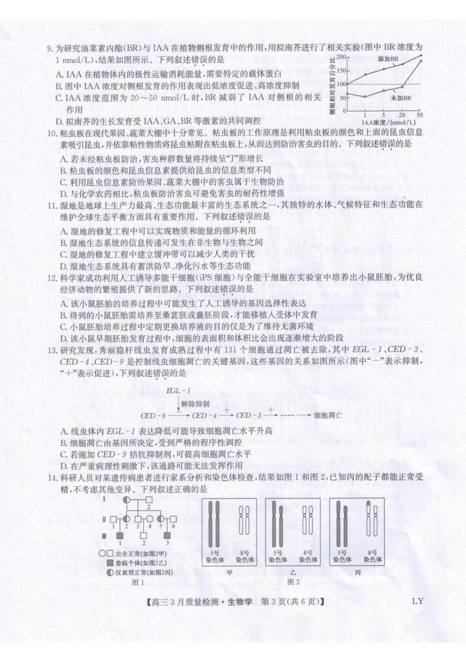 生物【甘肃卷】甘肃九师联盟2026届高三下学期32月质量检测（2.27-2.28）.pdf_第3页