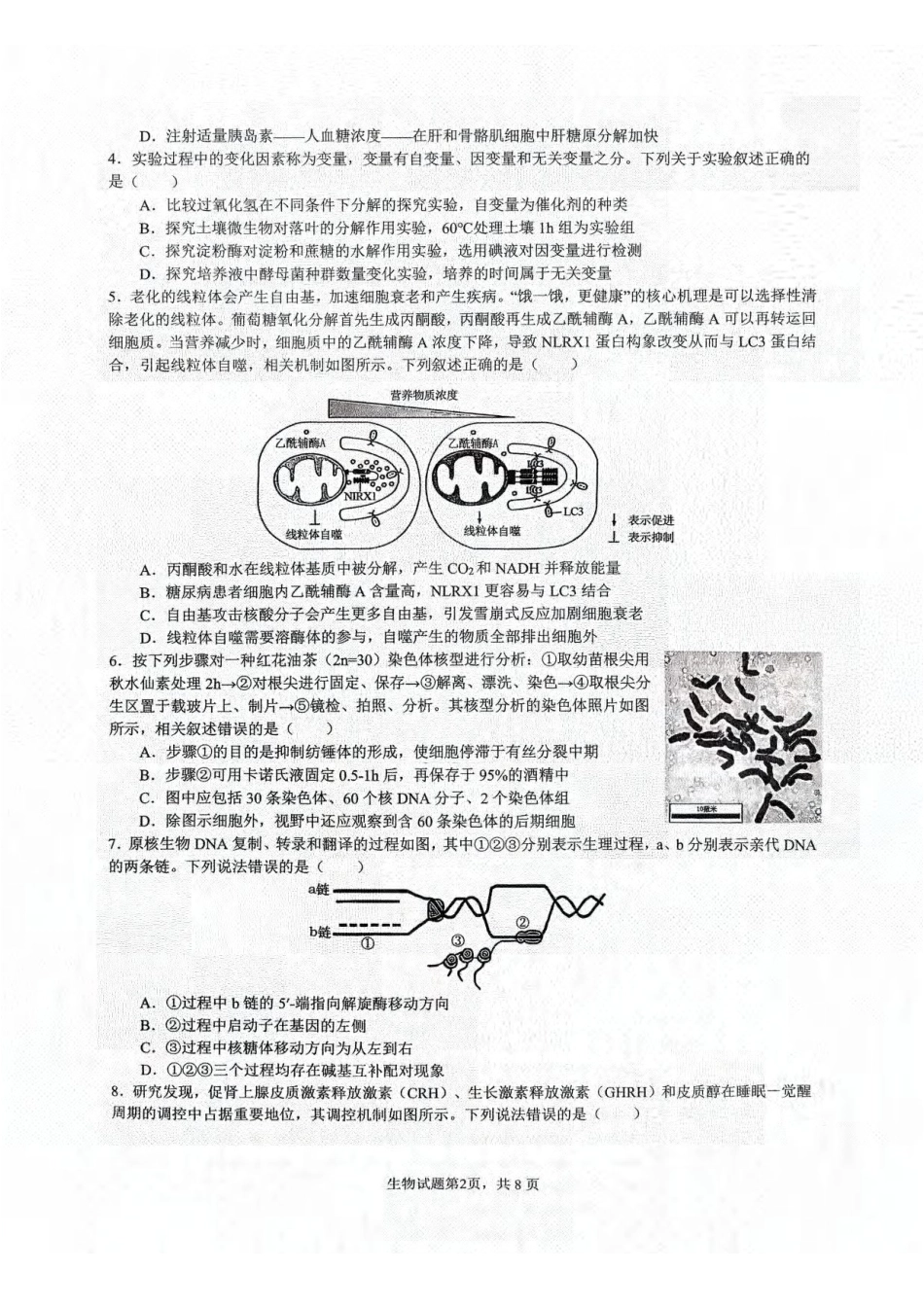 生物+答案【重庆七龙珠】重庆市育才中学校2026届高三下学期2月开学考试（2.27-2.28）.pdf_第2页