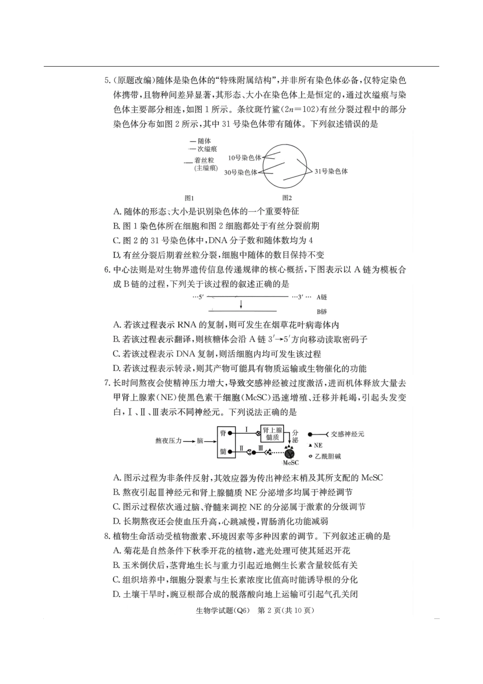 生物+答案湖南长沙市第一中学2025-2026学年高三上学期月考试卷（六）(1.20-1.21).pdf_第2页