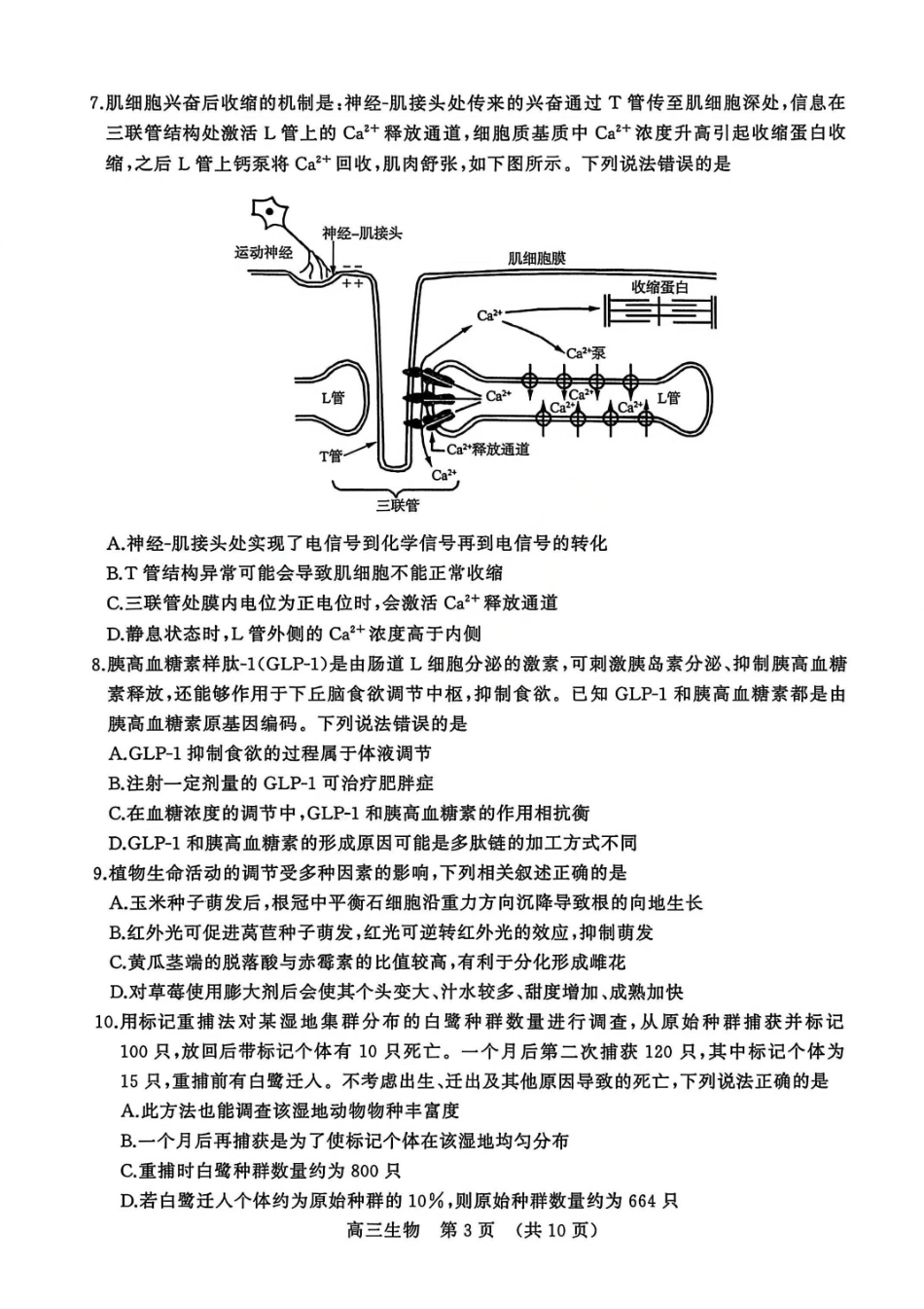 生物山东名校考试联盟2026届高三年级下学期2月核心素养评估(2.25-2.26).pdf_第3页
