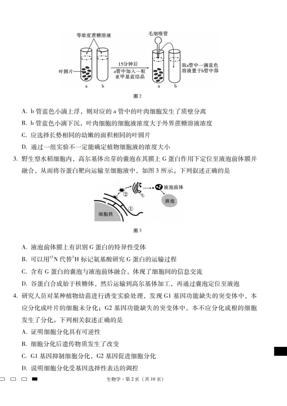 生物云南2026届云南三校高考备考实用性联考卷（六）(2.25-2.26).pdf_第2页