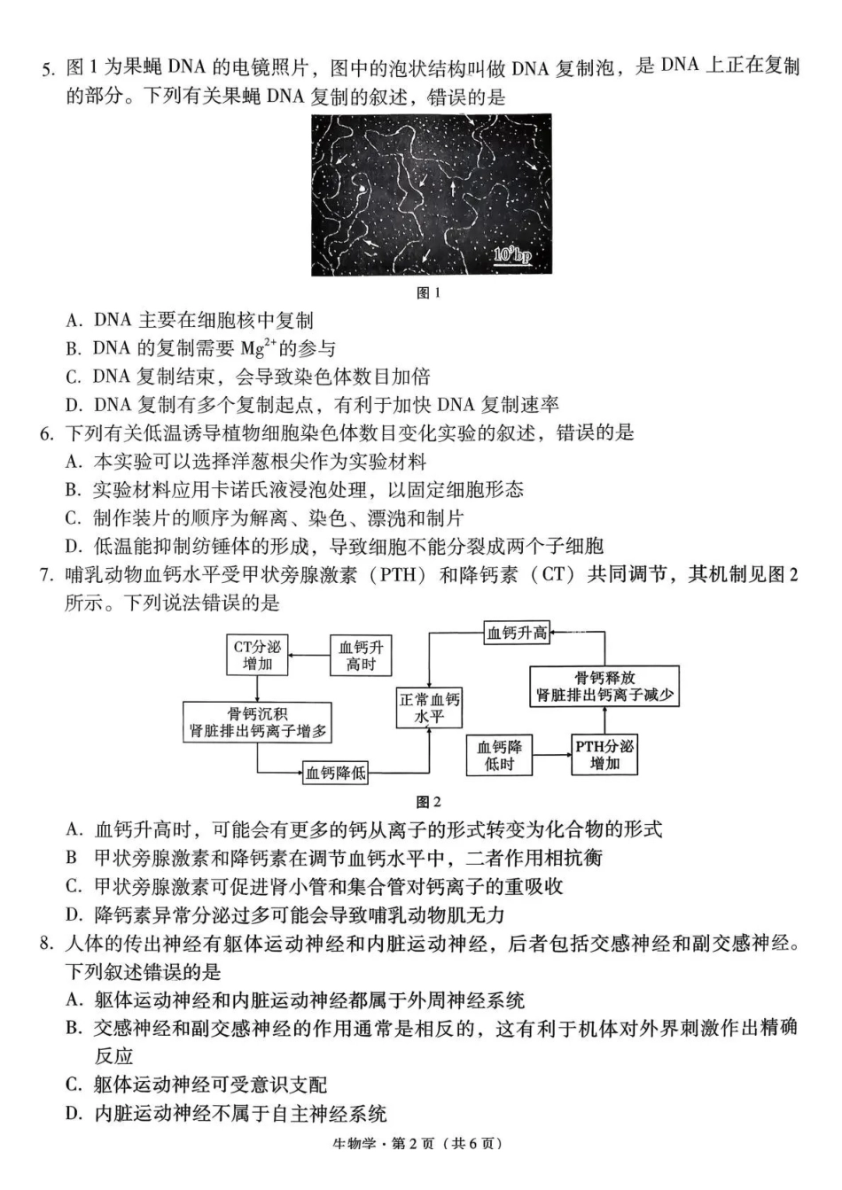 生物云南云南师大附中2026届高考适应性月考卷（八）(2.27-2.28).pdf_第2页