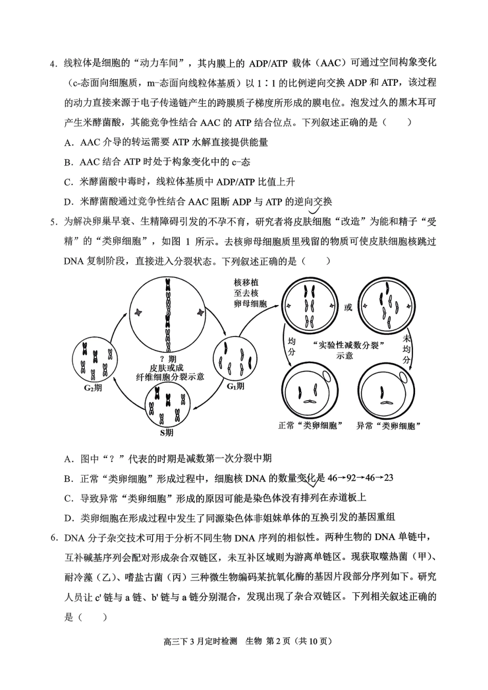 生物重庆市西南大学附属中学高2026届高三下3月月考（3.1-3.2）.pdf_第2页