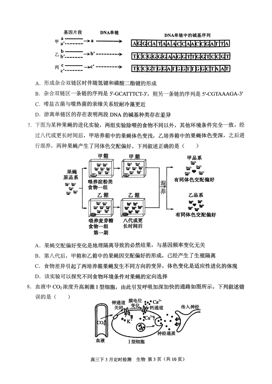 生物重庆市西南大学附属中学高2026届高三下3月月考（3.1-3.2）.pdf_第3页