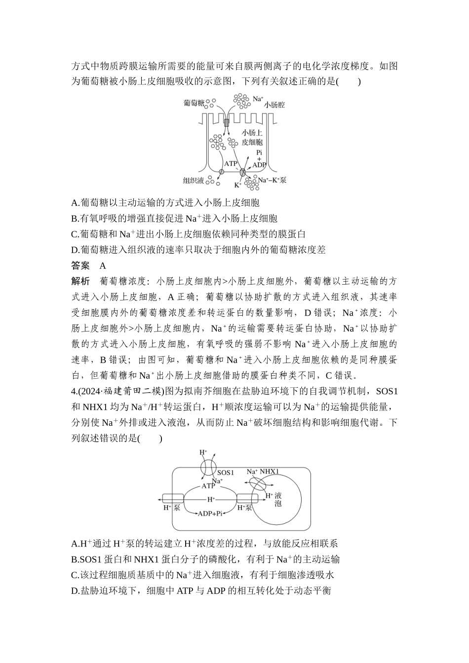 易错点1协同转运.doc_第3页