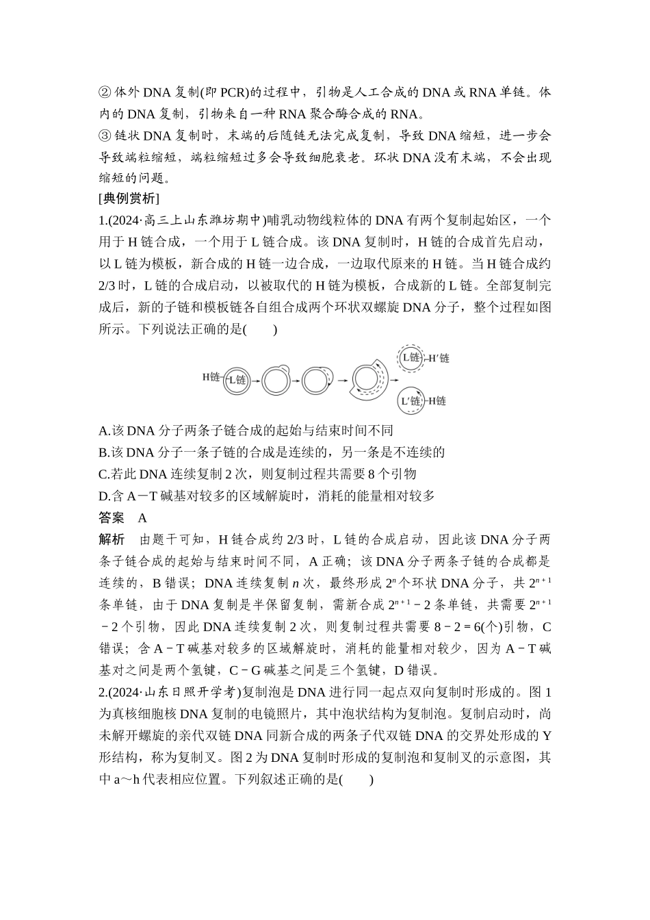 易错点5DNA复制的两个模型.doc_第2页