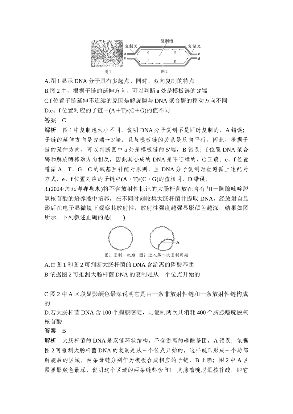 易错点5DNA复制的两个模型.doc_第3页