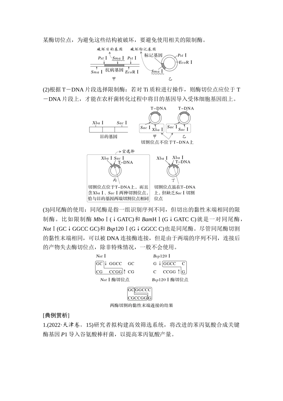 易错点11酶切位点的选择.doc_第2页