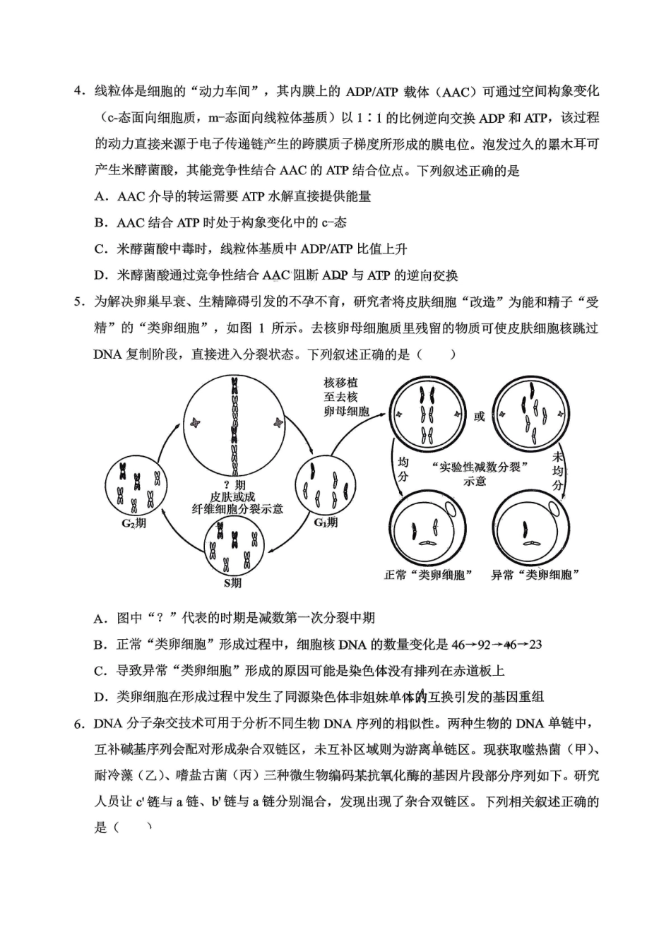 重庆西南大学附中高2026届高三下3月定时检测生物.pdf_第2页