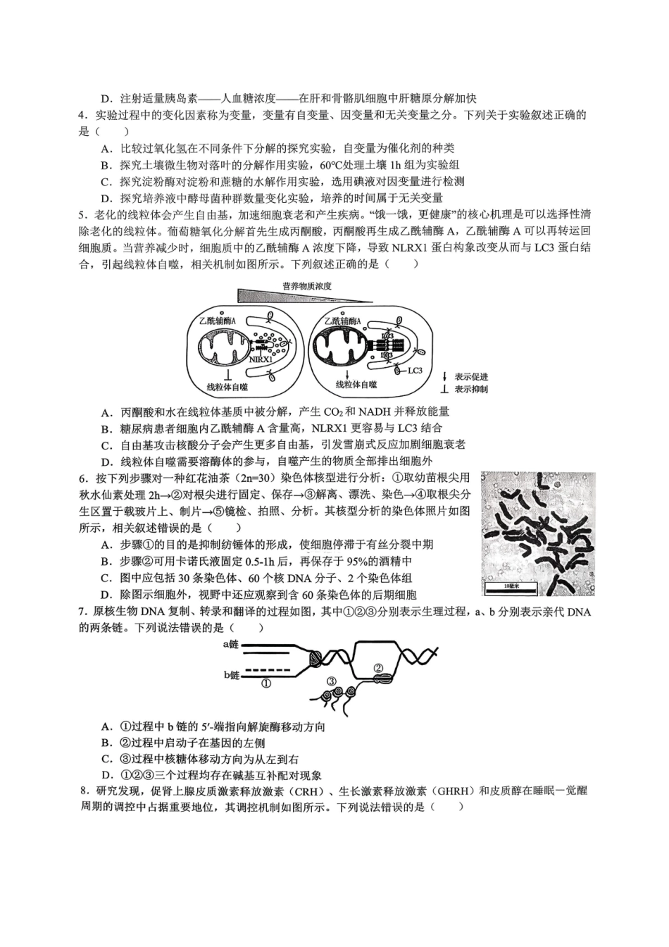 重庆育才中学高2026届高三（下）入学考试生物.pdf_第2页