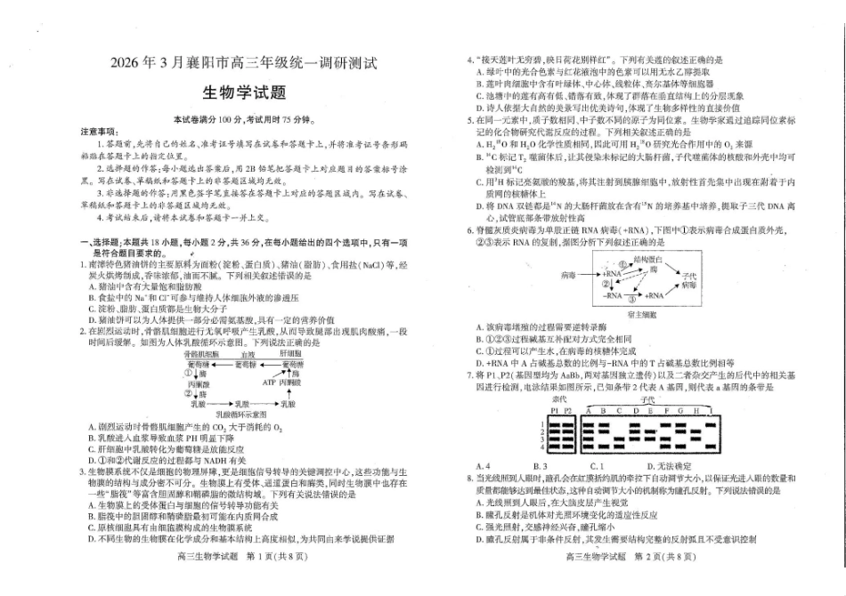 2026年3月襄阳市高三年级统一调研测试生物.pdf_第1页