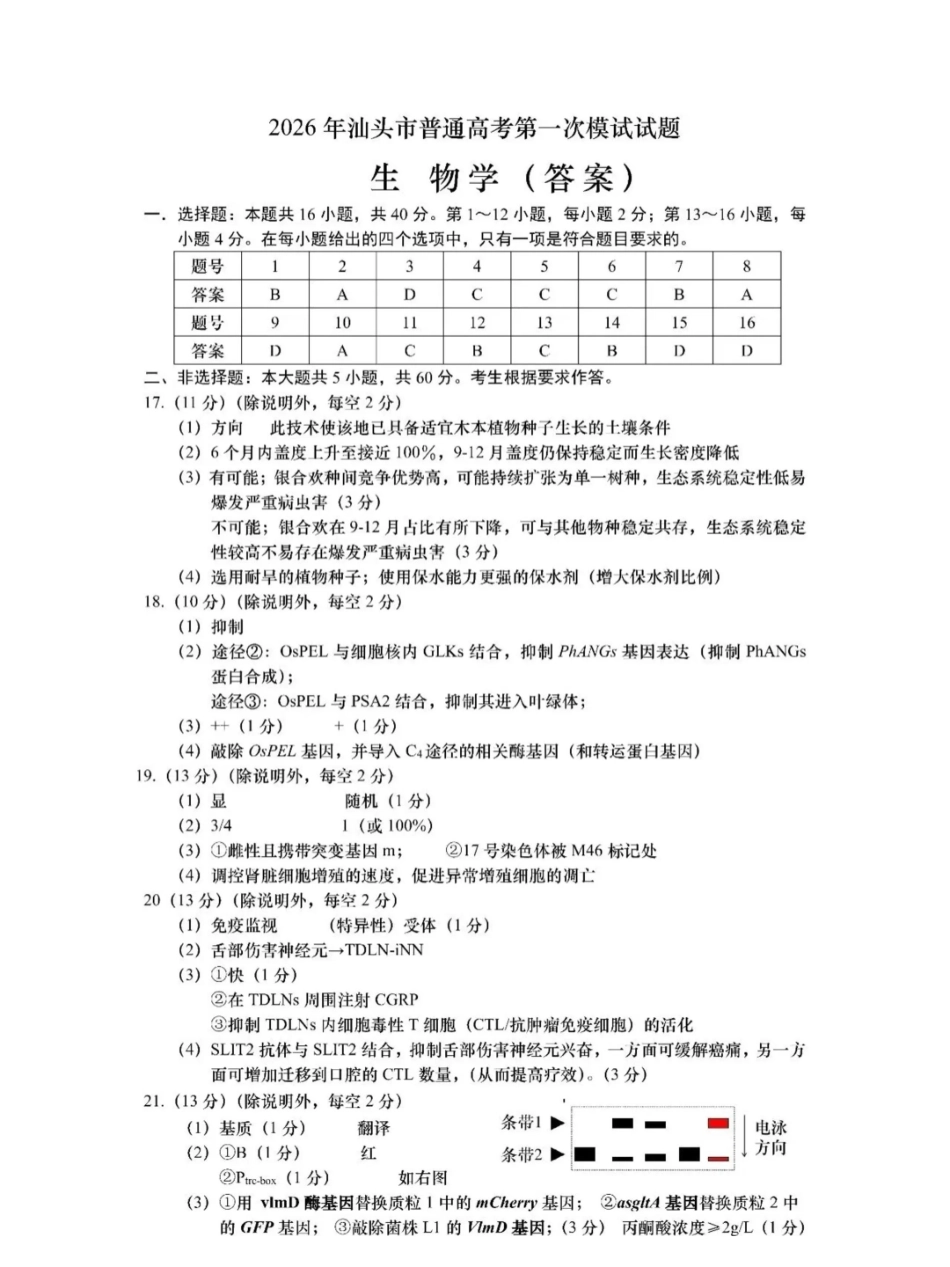 2026年汕头市普通高考第一次模拟考试生物答案.pdf_第1页