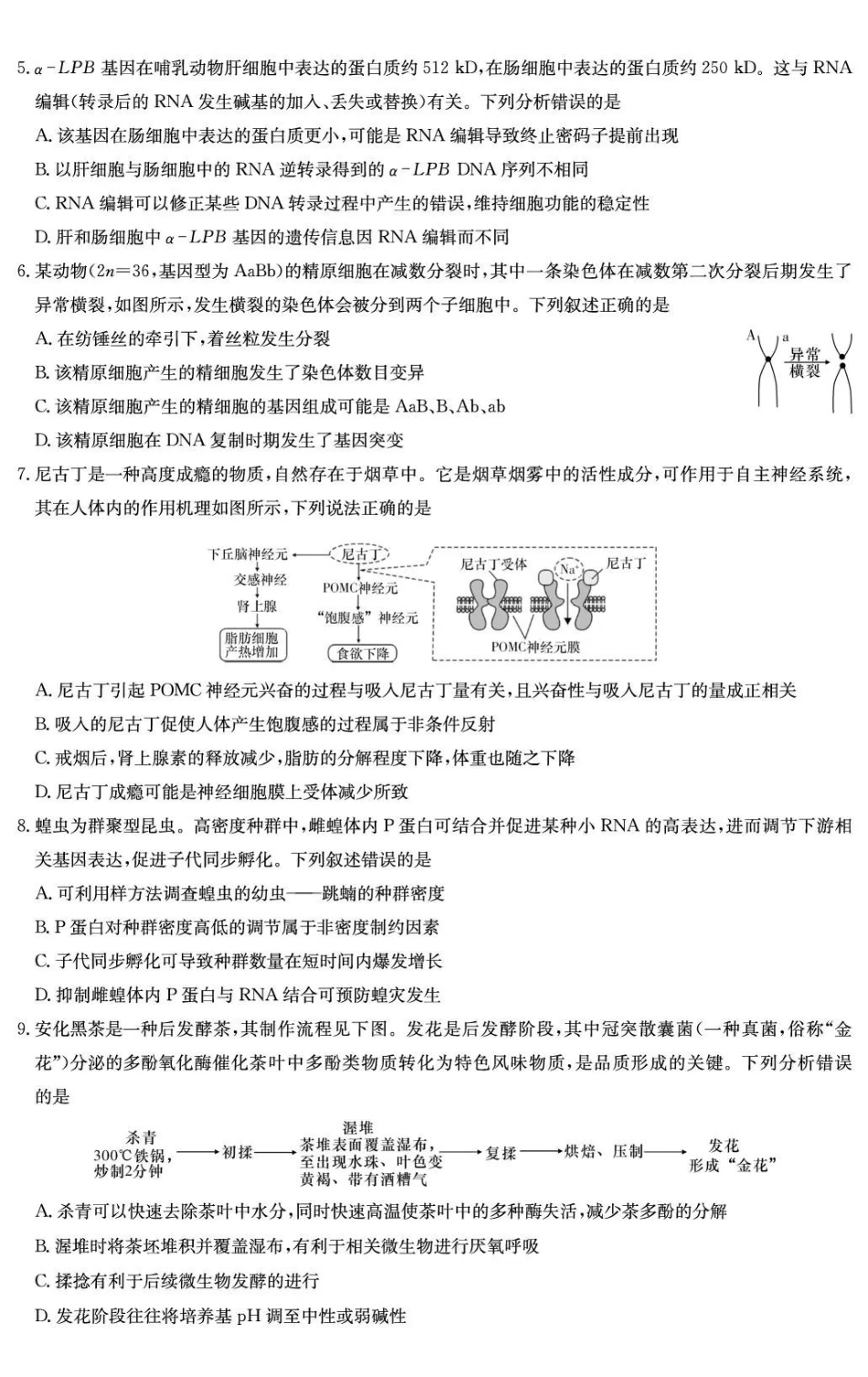 湖南师大附中2026届高三月考试卷（七）生物.pdf_第2页