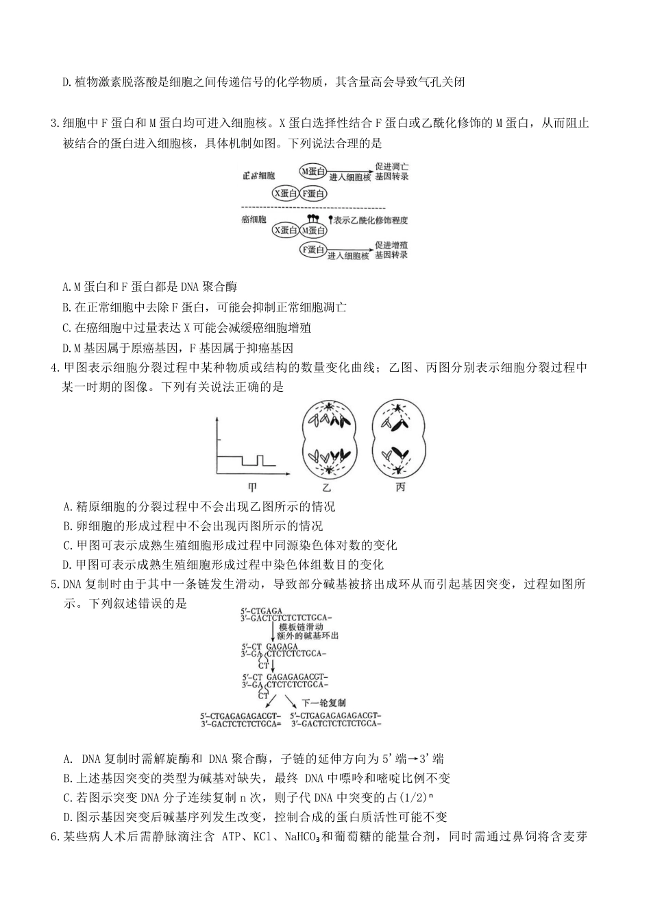 湖南雅礼中学2026届高三月考试卷（七）生物.pdf_第2页