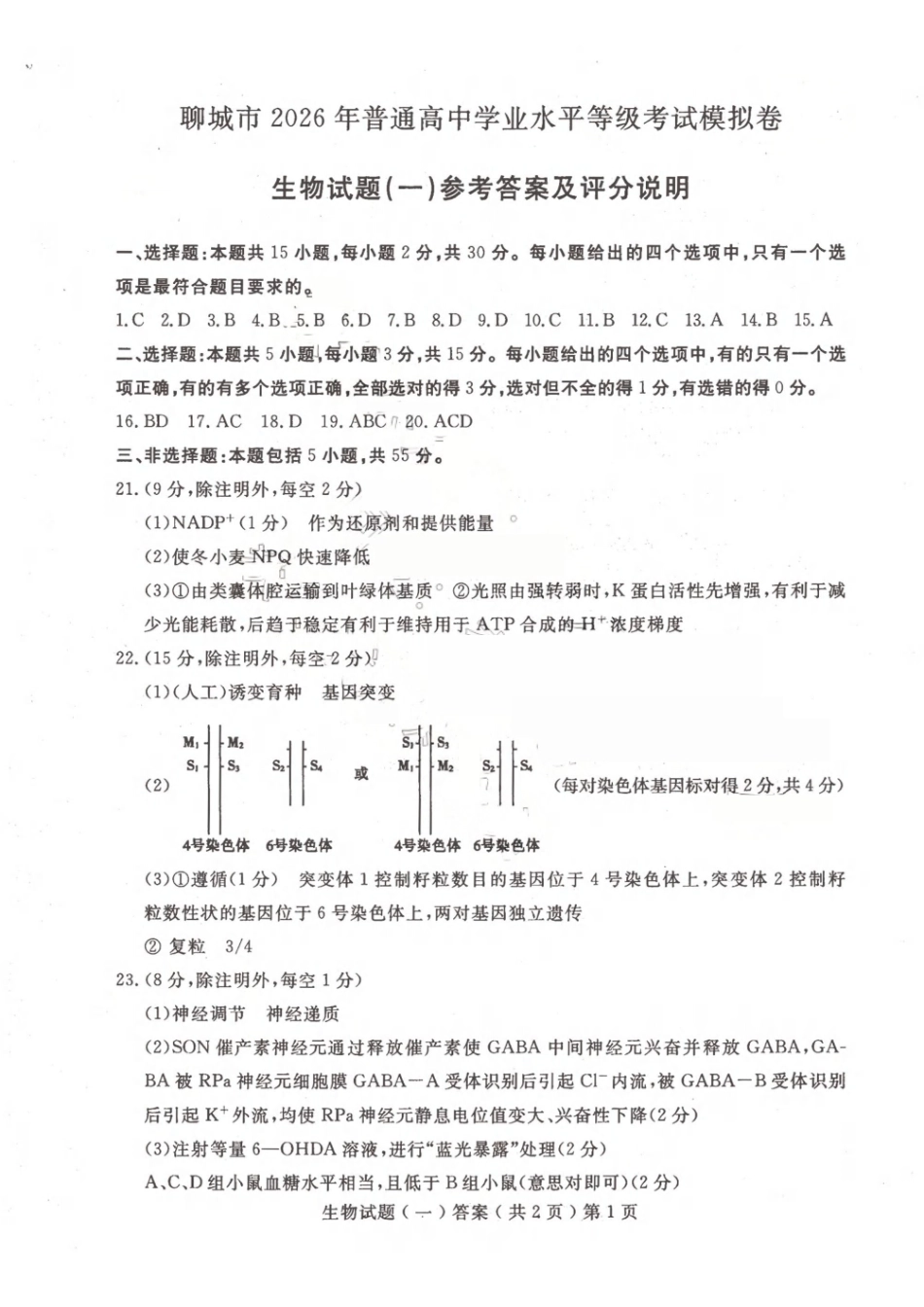 聊城市2026年普通高中学业水平等级考试模拟卷生物答案.pdf_第1页