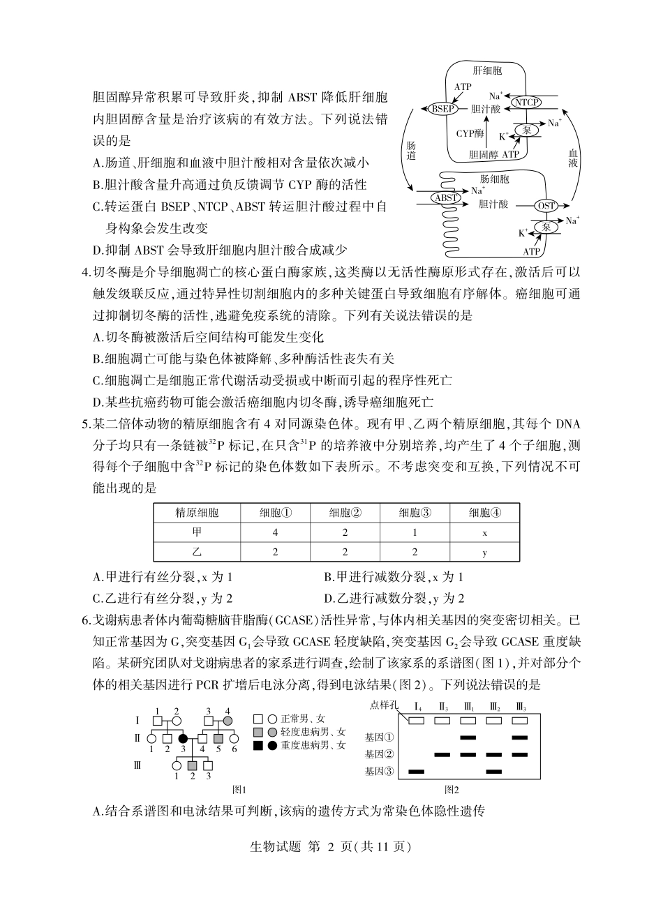 临沂市2026年普通高等学校招生全国统一考试(模拟)生物+答案.pdf_第2页