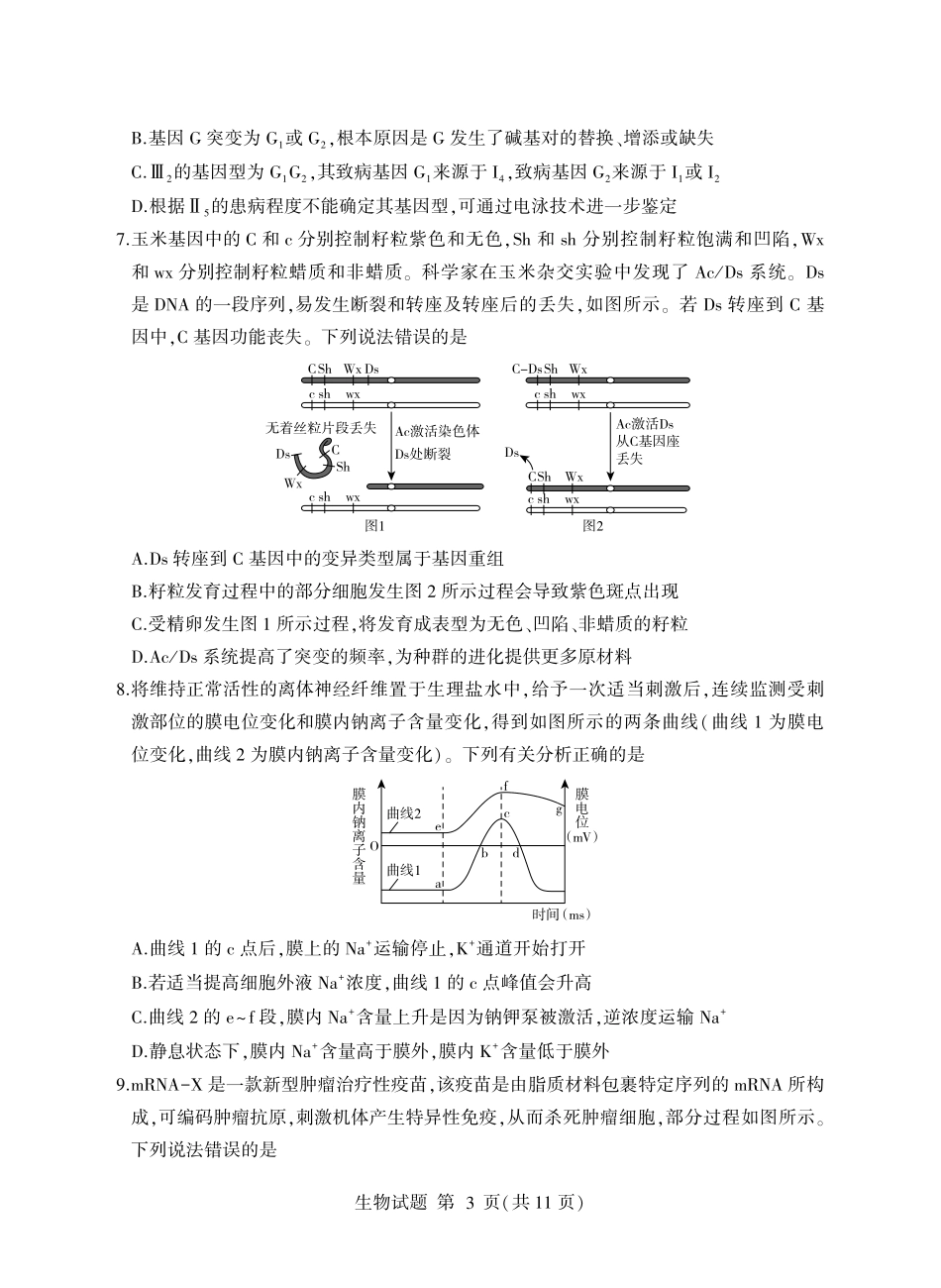 临沂市2026年普通高等学校招生全国统一考试(模拟)生物+答案.pdf_第3页