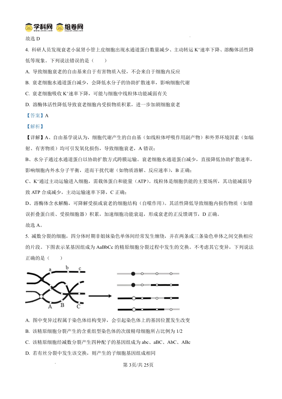 山东东营市2026届高三年级第一次诊断性测试生物答案.pdf_第3页