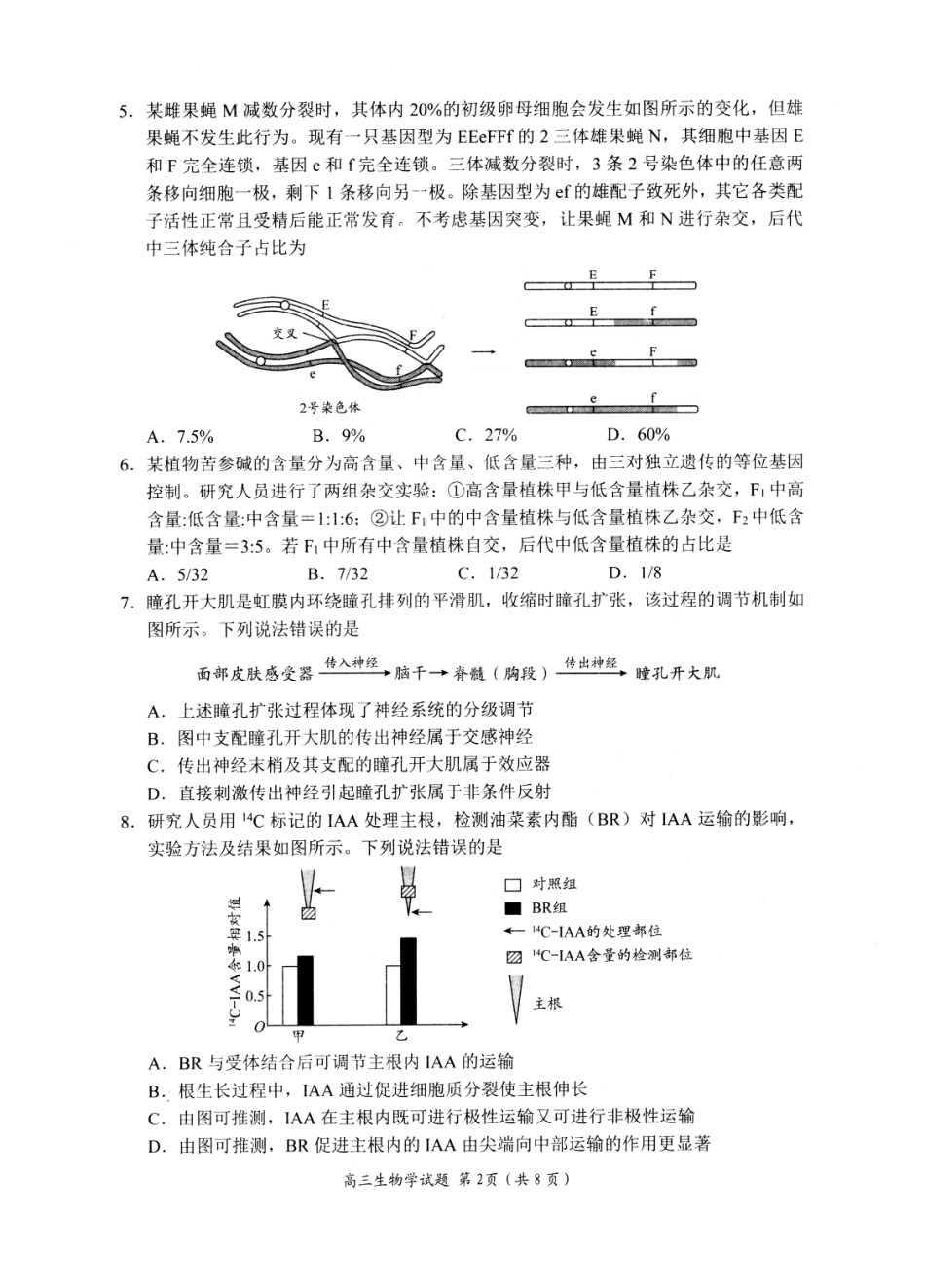 山东日照市2023级高三模拟考试生物.pdf_第2页