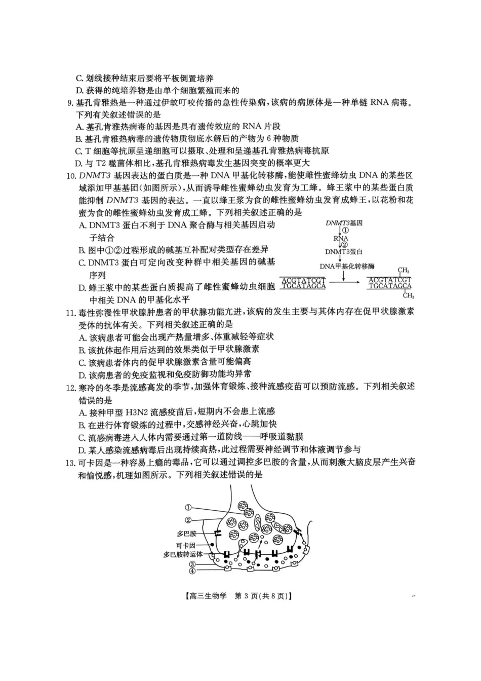 生物河南部分学校金太阳2026届高三下学期3月开学联考（3.6-3.7）.pdf_第3页
