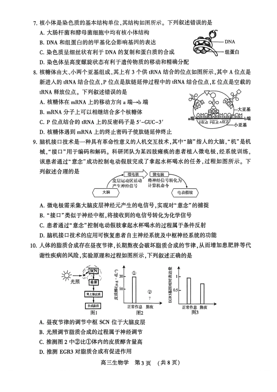 生物河南许平洛济2025-2026学年高三第三次质量检测(许平洛济三模)(3.12-3.13).pdf_第3页