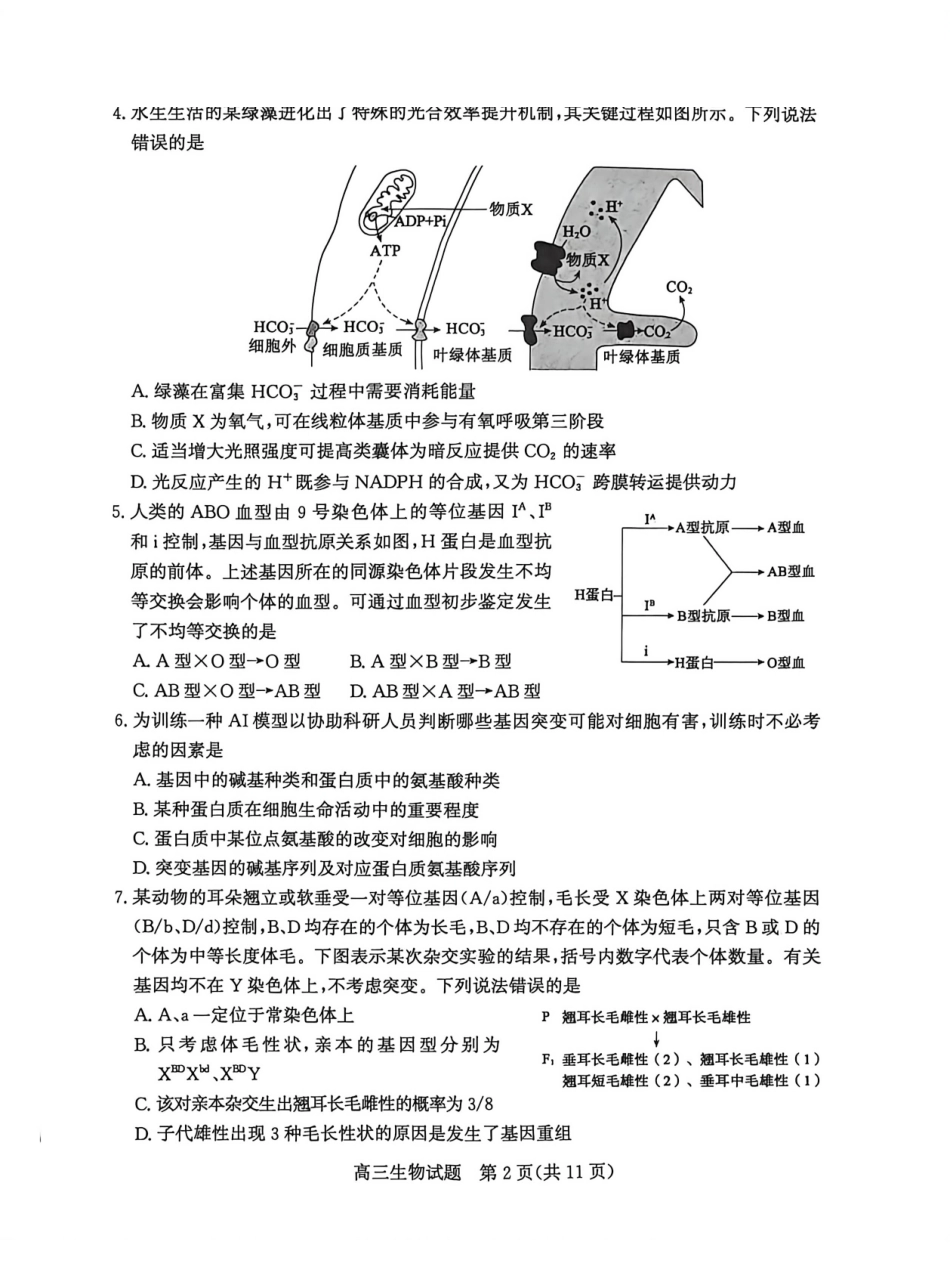 生物山东滨州市2026届高三年级3月第一次模拟考试(滨州一模)(3.9-3.11).pdf_第2页