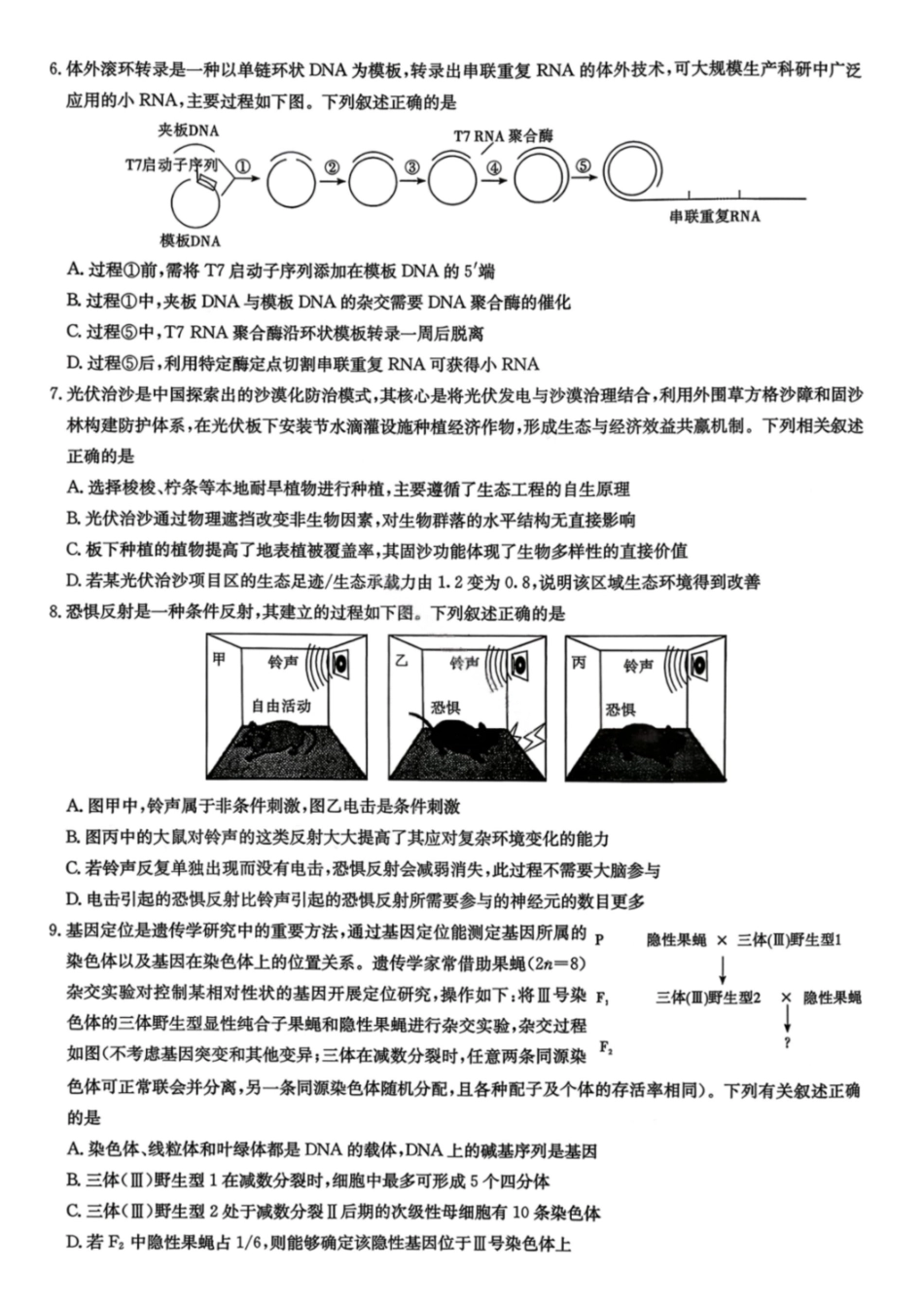 生物试卷湖南2026届湖南九校联盟高三第二次联考(3.12-3.13).pdf_第2页