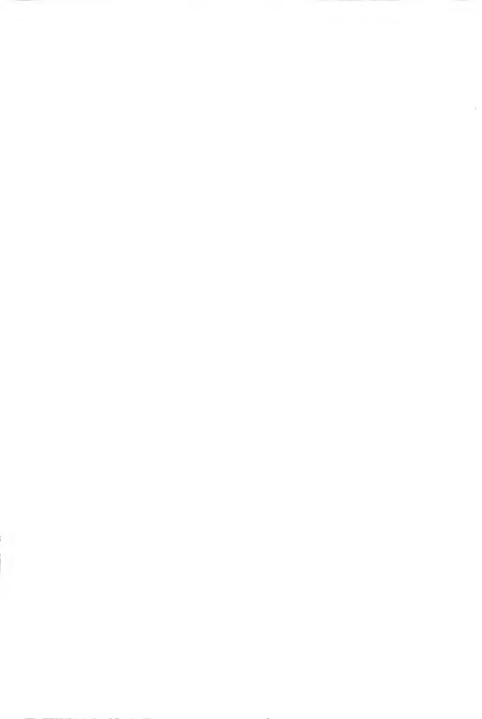 CJJT 168-2011 镇（乡）村绿地分类标准.pdf_第2页